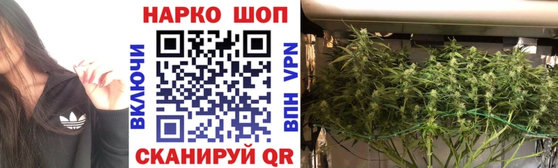 Где найти наркотики Алапаевск Cocaine  ГАШ  A-PVP  Канабис 