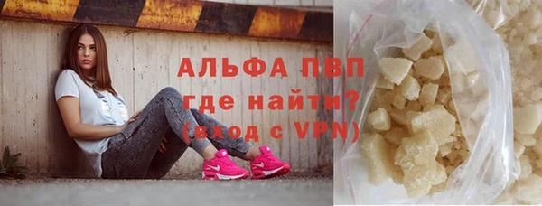СК Мурманск