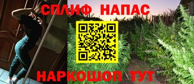 ГАЛЛЮЦИНОГЕННЫЕ ГРИБЫ Волжский