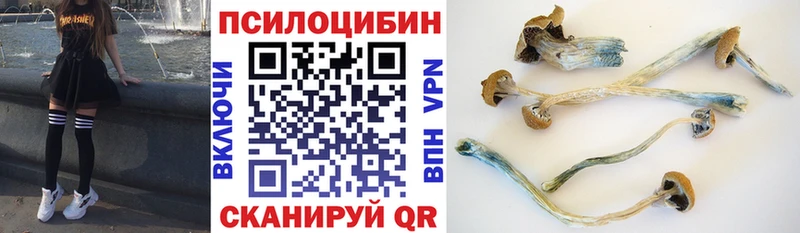 Псилоцибиновые грибы Psilocybine cubensis  наркошоп  Алапаевск 