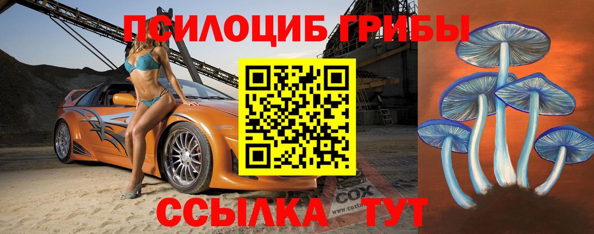 A PVP Алапаевск