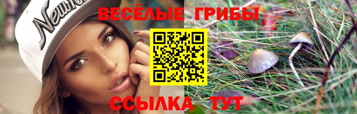 Галлюциногенные грибы GOLDEN TEACHER Алапаевск