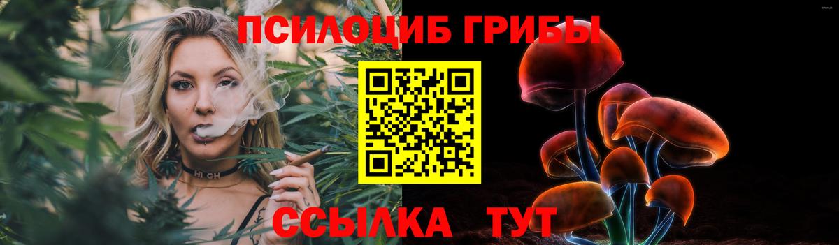 Псилоцибиновые грибы Psilocybe  Алапаевск 